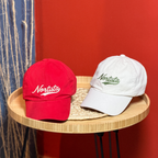 Boné Dad hat Nortista￼